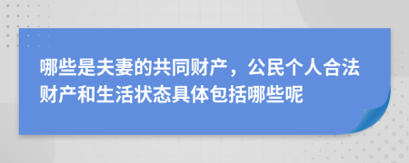 哪些是夫妻的共同财产，公民个人合法财产和生活状态具体包括哪些呢