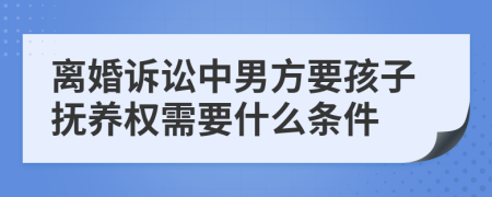 离婚诉讼中男方要孩子抚养权需要什么条件