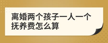 离婚两个孩子一人一个抚养费怎么算