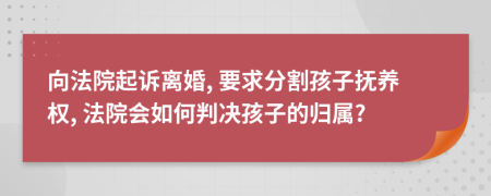 向法院起诉离婚, 要求分割孩子抚养权, 法院会如何判决孩子的归属?