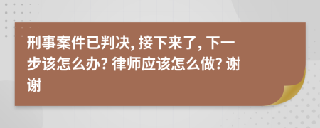 刑事案件已判决, 接下来了, 下一步该怎么办? 律师应该怎么做? 谢谢