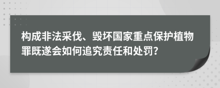 构成非法采伐、毁坏国家重点保护植物罪既遂会如何追究责任和处罚？