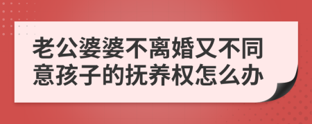 老公婆婆不离婚又不同意孩子的抚养权怎么办