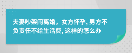 夫妻吵架闹离婚，女方怀孕, 男方不负责任不给生活费, 这样的怎么办