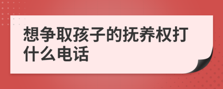 想争取孩子的抚养权打什么电话