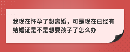 我现在怀孕了想离婚，可是现在已经有结婚证是不是想要孩子了怎么办