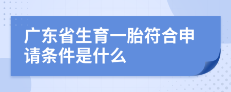 广东省生育一胎符合申请条件是什么