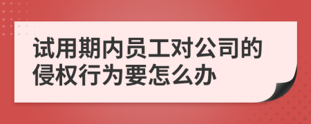 试用期内员工对公司的侵权行为要怎么办