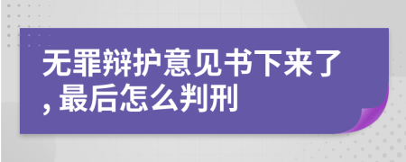 无罪辩护意见书下来了, 最后怎么判刑