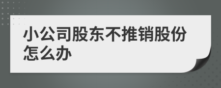 小公司股东不推销股份怎么办