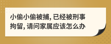 小偷小偷被捕, 已经被刑事拘留, 请问家属应该怎么办