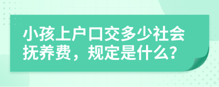 小孩上户口交多少社会抚养费，规定是什么？