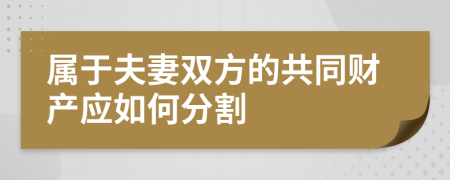 属于夫妻双方的共同财产应如何分割