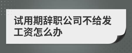 试用期辞职公司不给发工资怎么办