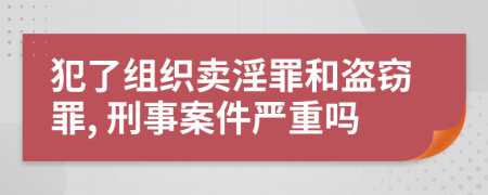 犯了组织卖淫罪和盗窃罪, 刑事案件严重吗