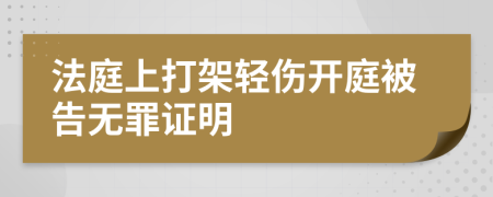 法庭上打架轻伤开庭被告无罪证明