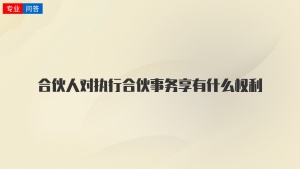 合伙人对执行合伙事务享有什么权利