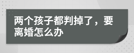 两个孩子都判掉了，要离婚怎么办