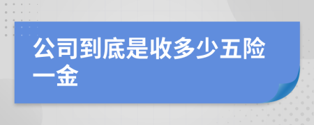 公司到底是收多少五险一金