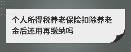 个人所得税养老保险扣除养老金后还用再缴纳吗