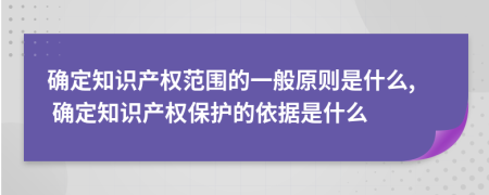 确定知识产权范围的一般原则是什么, 确定知识产权保护的依据是什么