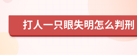 打人一只眼失明怎么判刑