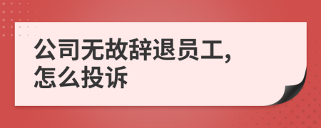 公司无故辞退员工, 怎么投诉