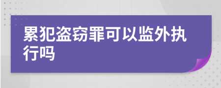 累犯盗窃罪可以监外执行吗