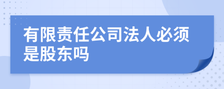 有限责任公司法人必须是股东吗