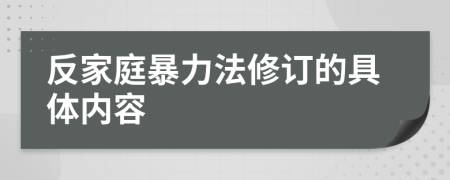 反家庭暴力法修订的具体内容