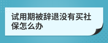 试用期被辞退没有买社保怎么办