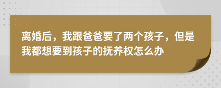 离婚后，我跟爸爸要了两个孩子，但是我都想要到孩子的抚养权怎么办