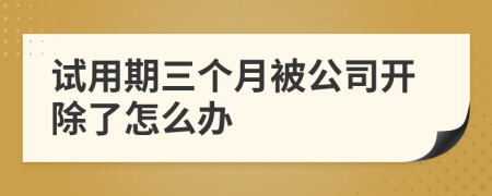 试用期三个月被公司开除了怎么办