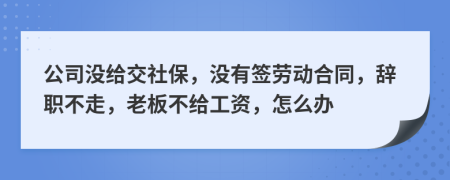 公司没给交社保，没有签劳动合同，辞职不走，老板不给工资，怎么办