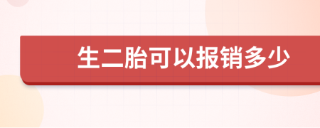 生二胎可以报销多少