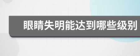 眼睛失明能达到哪些级别