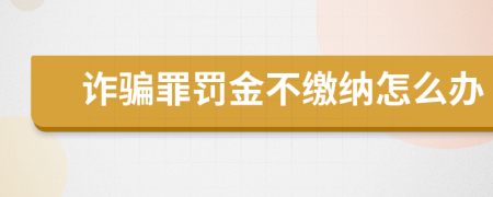 诈骗罪罚金不缴纳怎么办