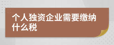 个人独资企业需要缴纳什么税