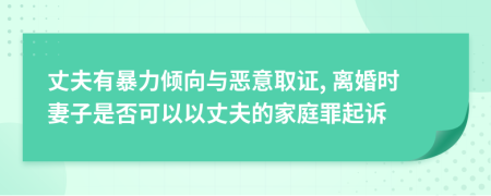 丈夫有暴力倾向与恶意取证, 离婚时妻子是否可以以丈夫的家庭罪起诉