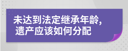 未达到法定继承年龄, 遗产应该如何分配