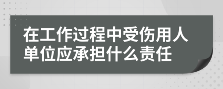 在工作过程中受伤用人单位应承担什么责任