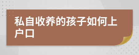 私自收养的孩子如何上户口