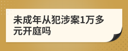 未成年从犯涉案1万多元开庭吗