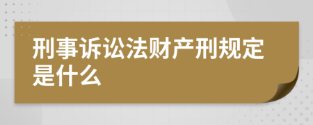 刑事诉讼法财产刑规定是什么