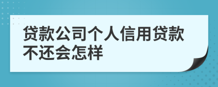 贷款公司个人信用贷款不还会怎样