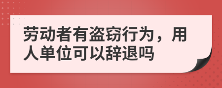 劳动者有盗窃行为，用人单位可以辞退吗