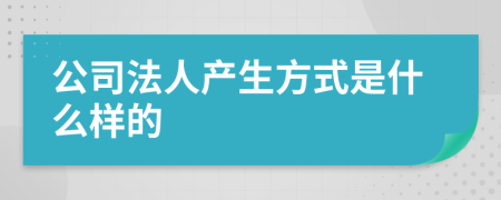 公司法人产生方式是什么样的