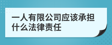 一人有限公司应该承担什么法律责任
