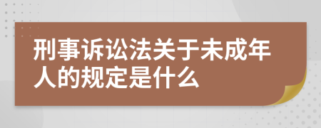 刑事诉讼法关于未成年人的规定是什么