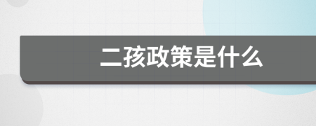 二孩政策是什么